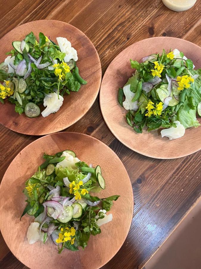 מלון יאמאנאקאקו Vegetarian House Jamoo מראה חיצוני תמונה